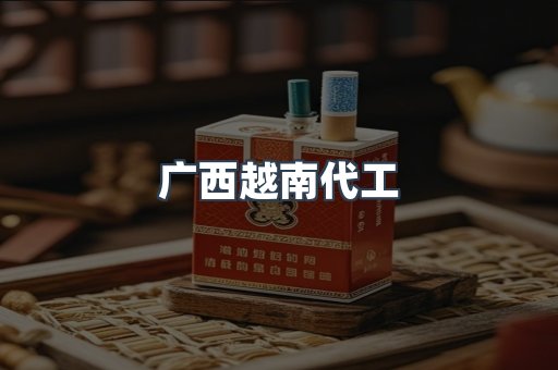 广西越南代工